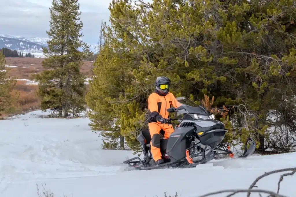 Photo 9 – grande taille